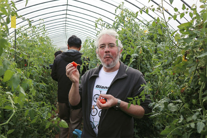 野菜収穫体験-1