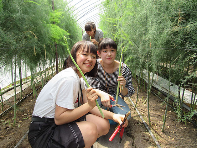 美幌町役場 経済部みらい農業課 みらい農業センター1