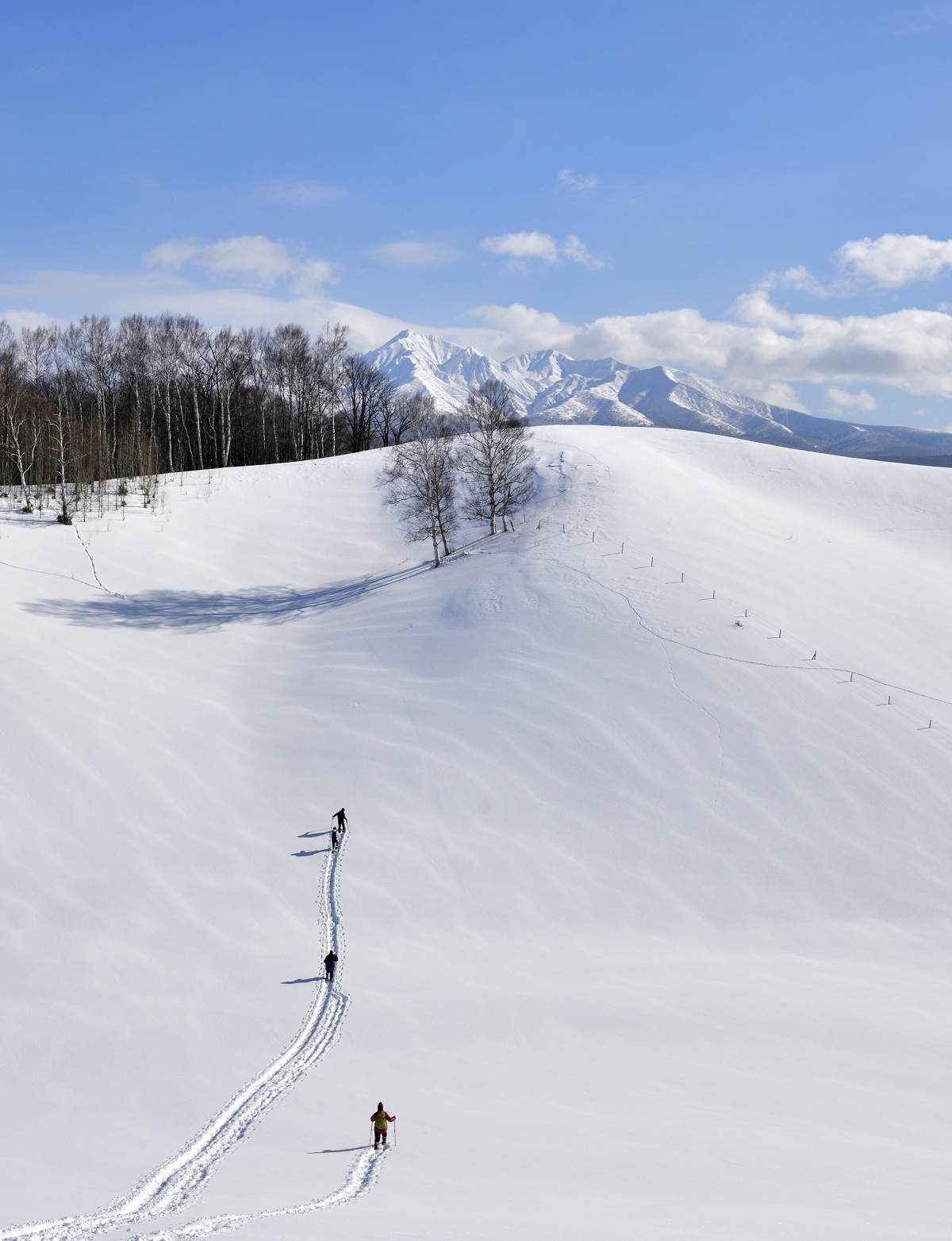 ほしかぜの丘スノーシューツアー