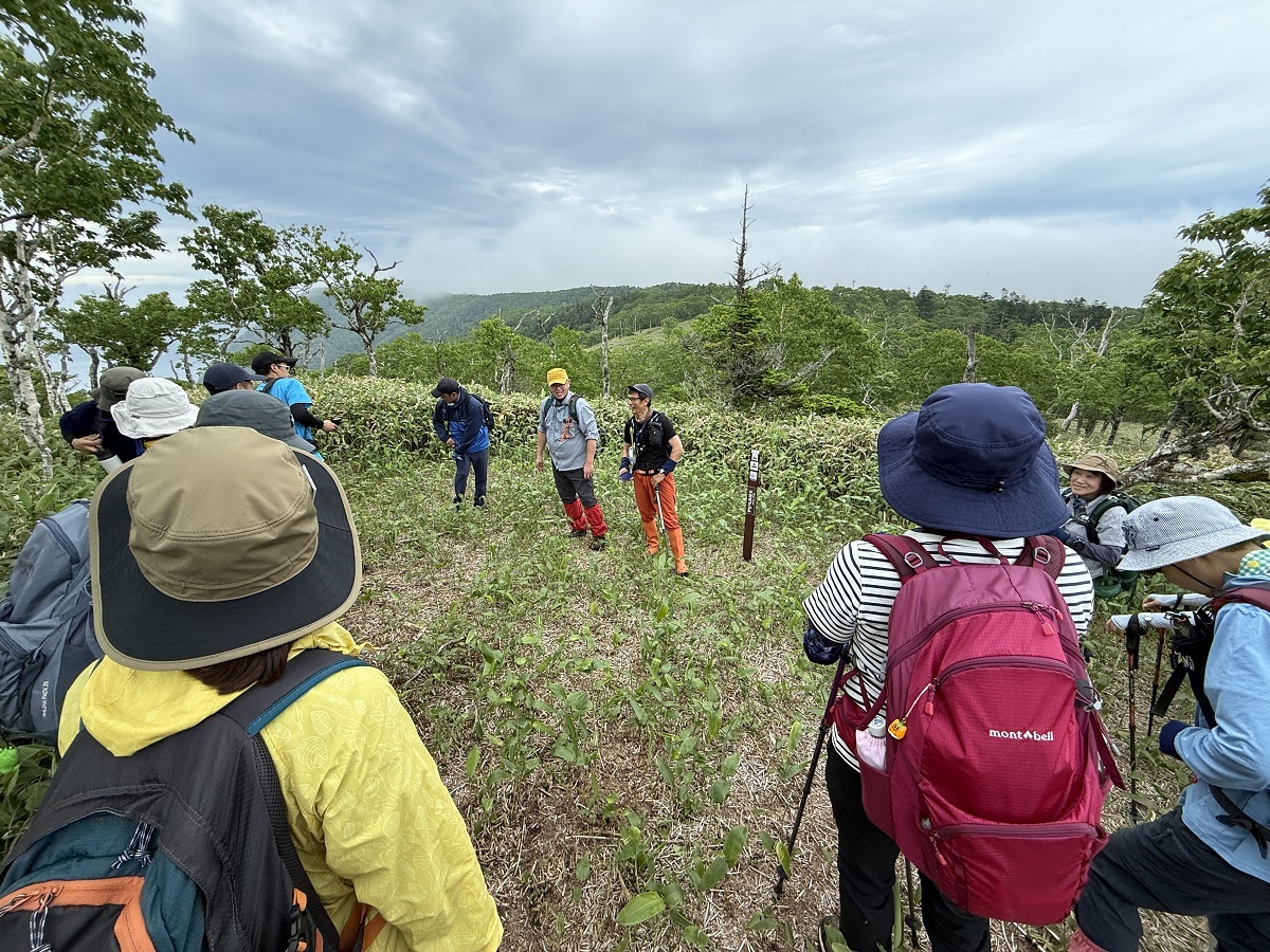外輪山トレイル