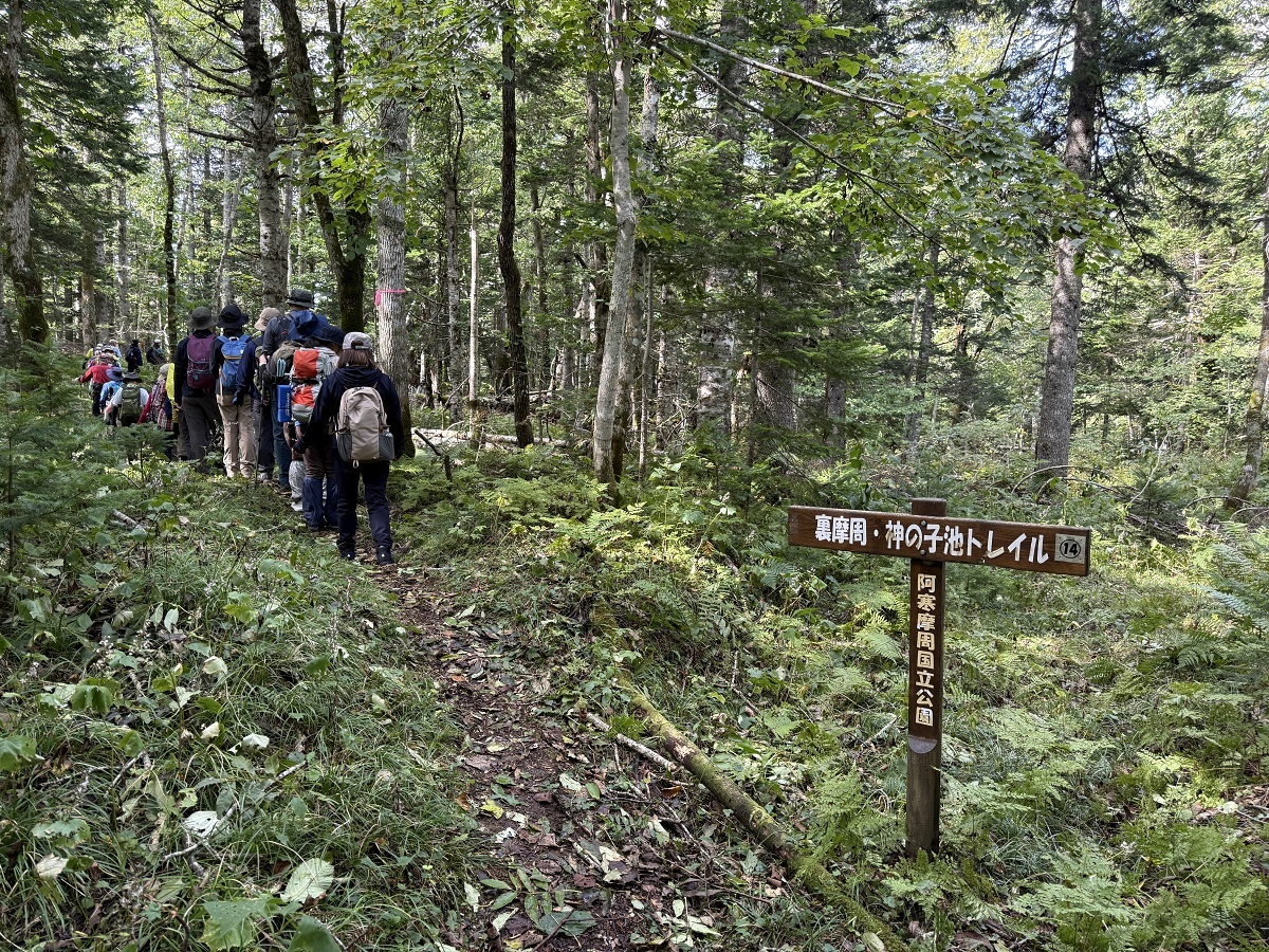 神の子池トレイル