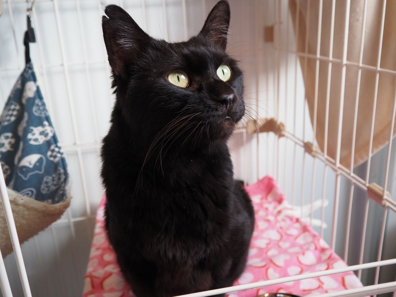 250107クロ (9).jpg