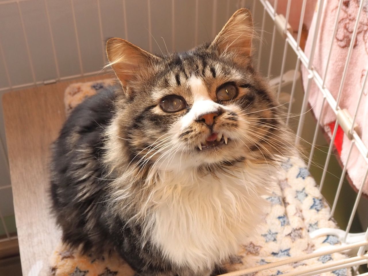 260107マイク (16-1).jpg