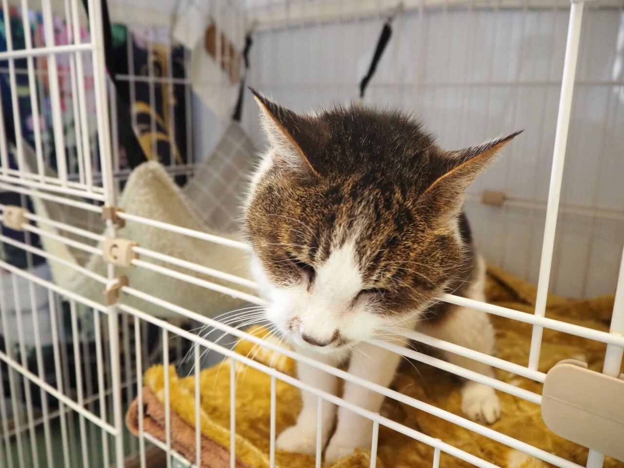 260128めめ (6).jpg