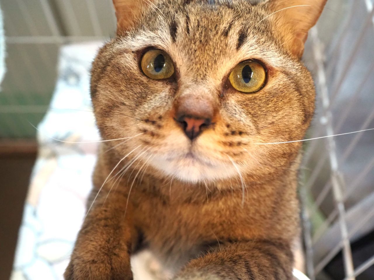 260203ハッカイ (2).JPG