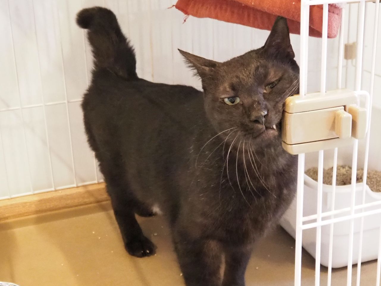 260107もめん (3).jpg