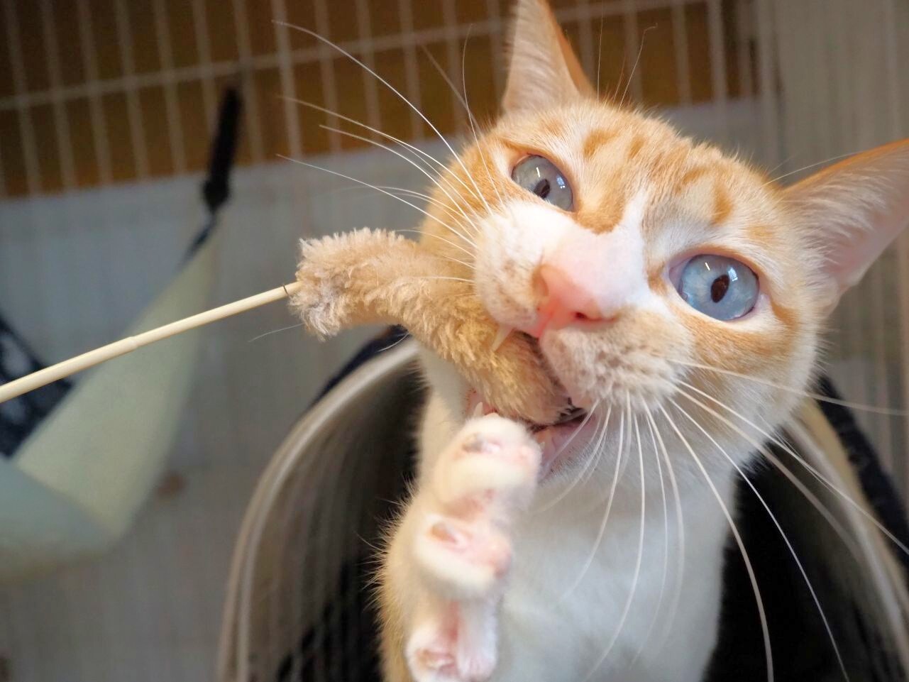 260218リセ (8).jpg