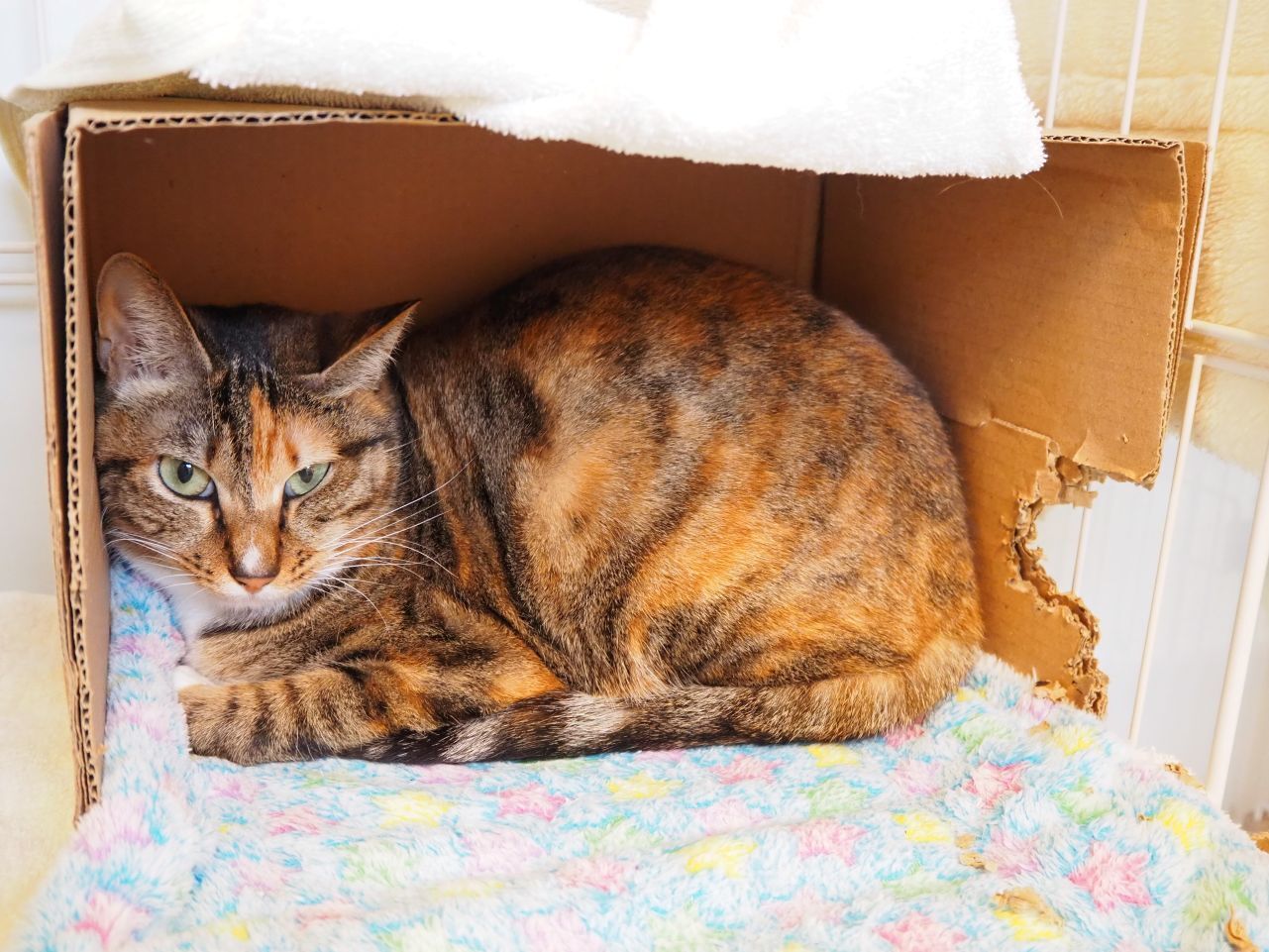 250218えれん (3).jpg