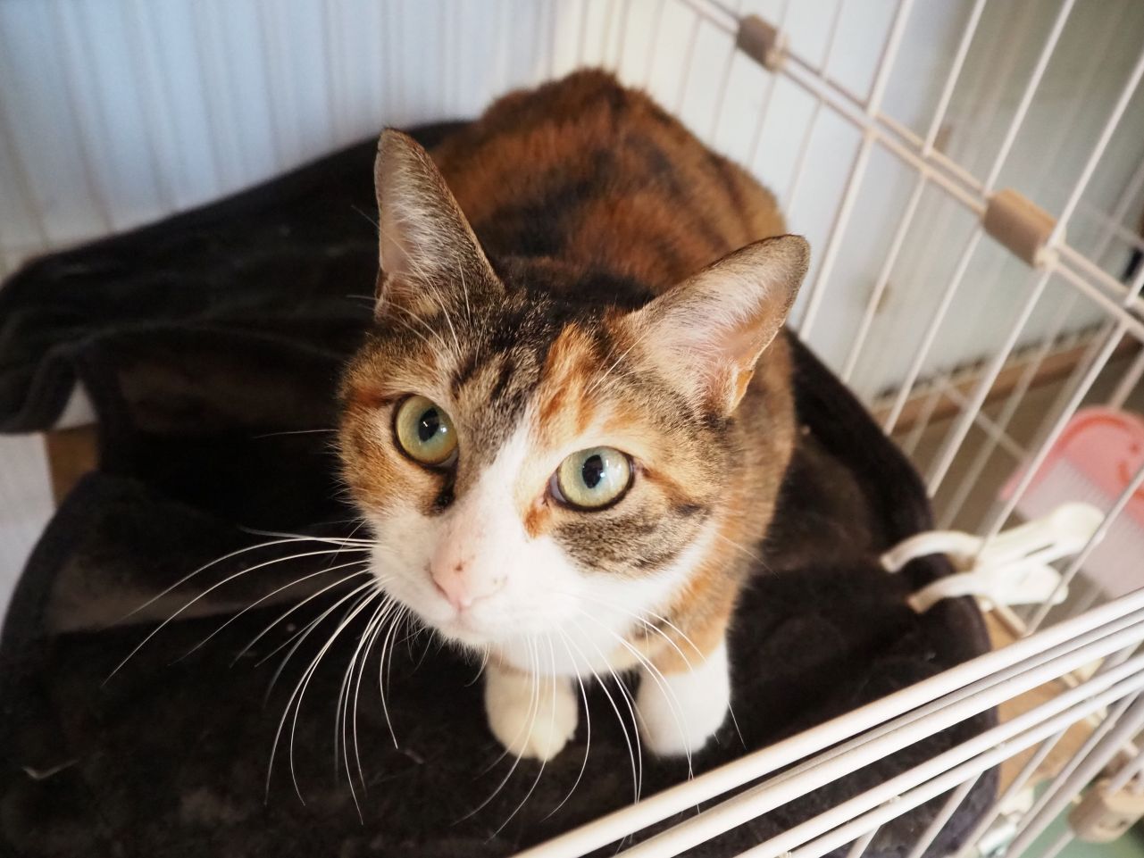 260218のあ (4).jpg