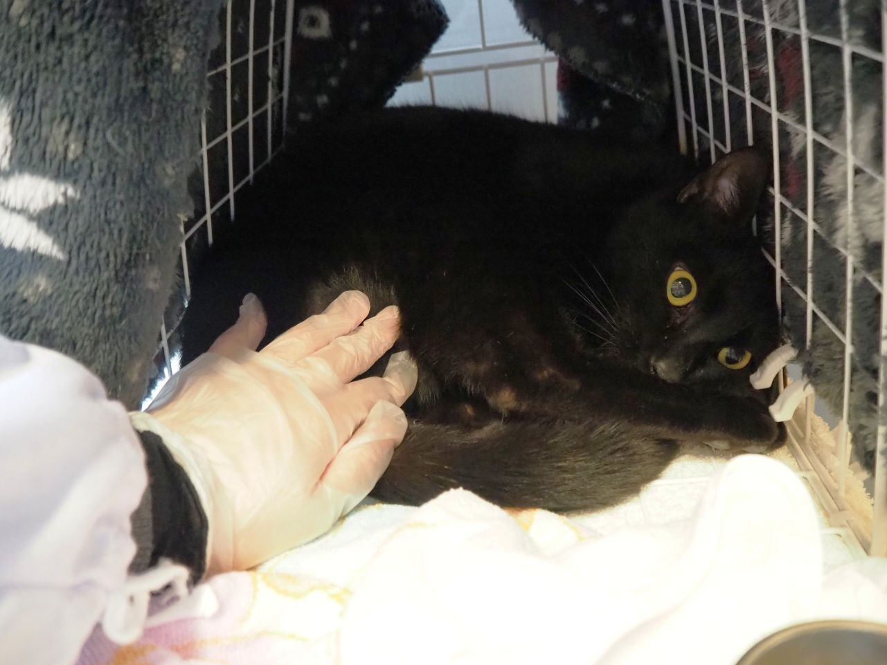 260304ルカ (2-).jpg