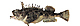 fis037s.jpg