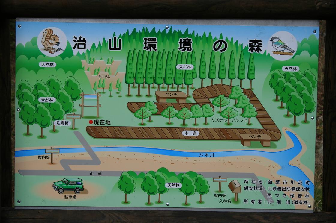 有珠山の治山工法 : 火山性荒廃地の復旧 / ダコーブックス