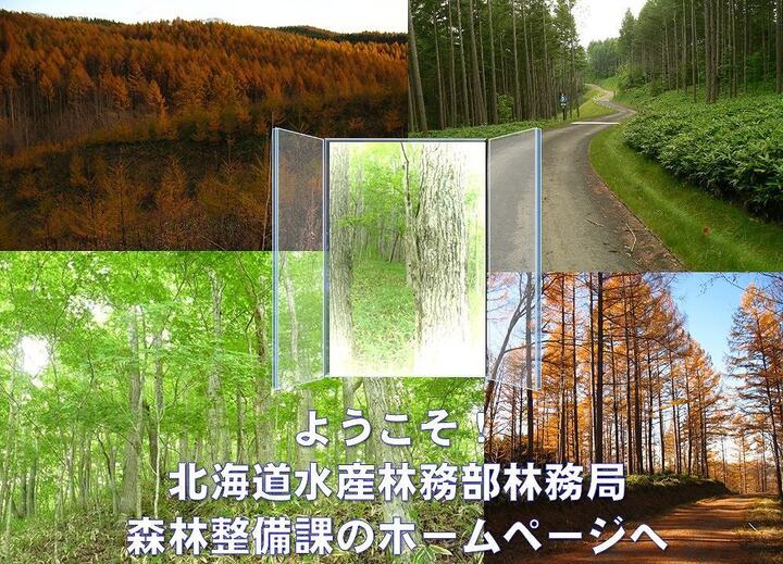 ようこそ北海道水産林務部林務局森林整備課のホームページへ