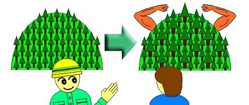 1．森林の経営指導