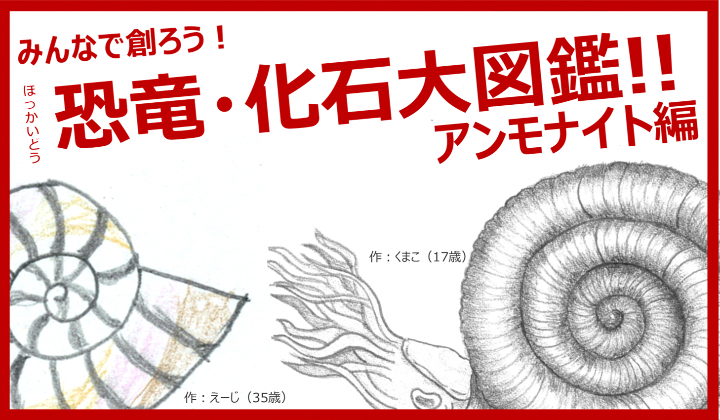 15155円 【送料込】 アンモナイト化石１㎏ 飾り台付き