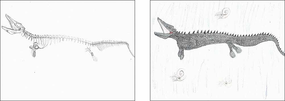 恐竜愛好家さんのモササウルス