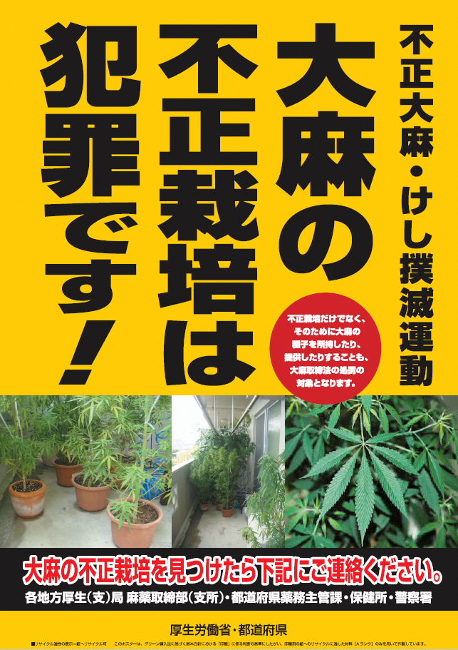 大麻の不正栽培は犯罪です