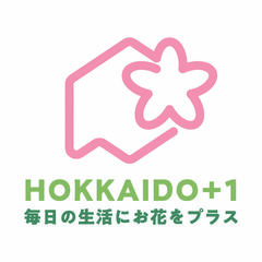 ＨＯＫＫＡＩＤＯ＋１　ロゴ