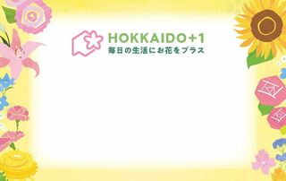 ＨＯＫＫＡＩＤＯ＋１　ポップカード