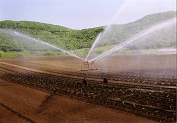 散水機で散水している様子