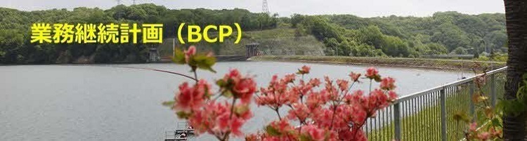 bcp_bunner (JPG 62.2KB)
