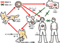 サイクル.gif