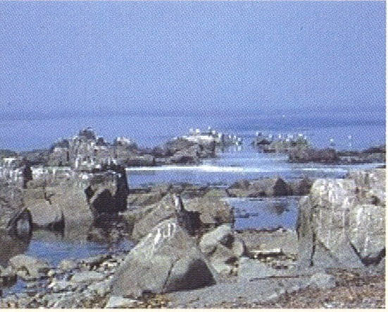 （５）歯舞群島多楽島多楽石