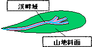 渓畔域と山地斜面