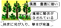 形状比での判断