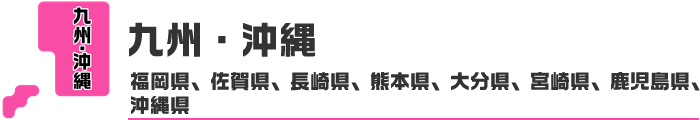 九州・沖縄ロゴ