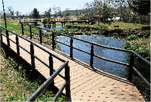 写真 整備したふきだし公園の園路