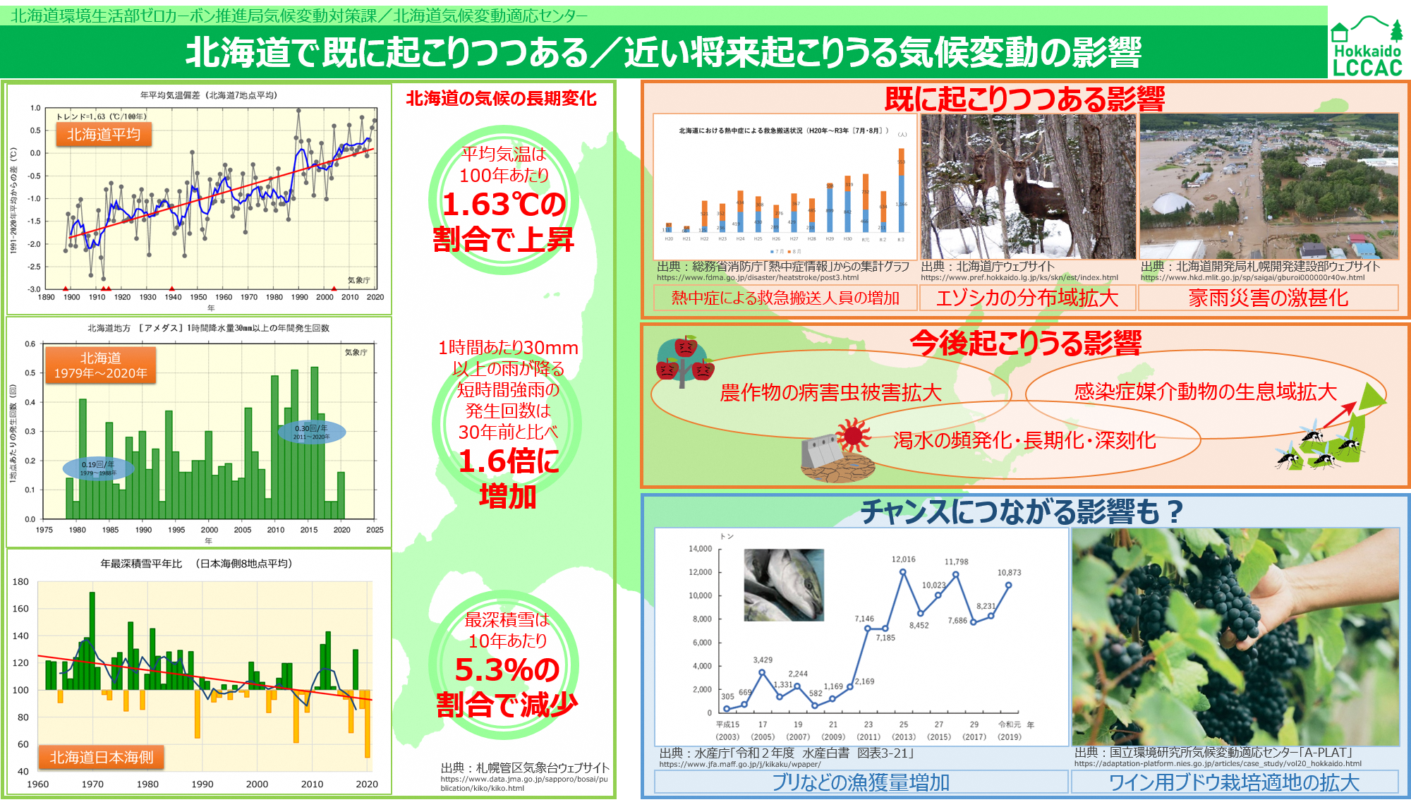 北海道で既に起こりつつある_近い将来起こりうる気候変動の影響.png