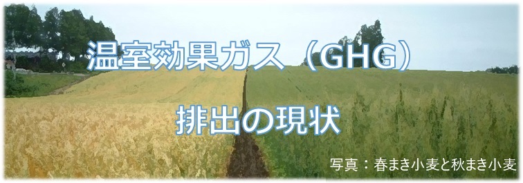 温室効果ガス（GHG）排出の現状