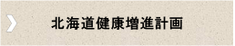 北海道健康増進計画.png