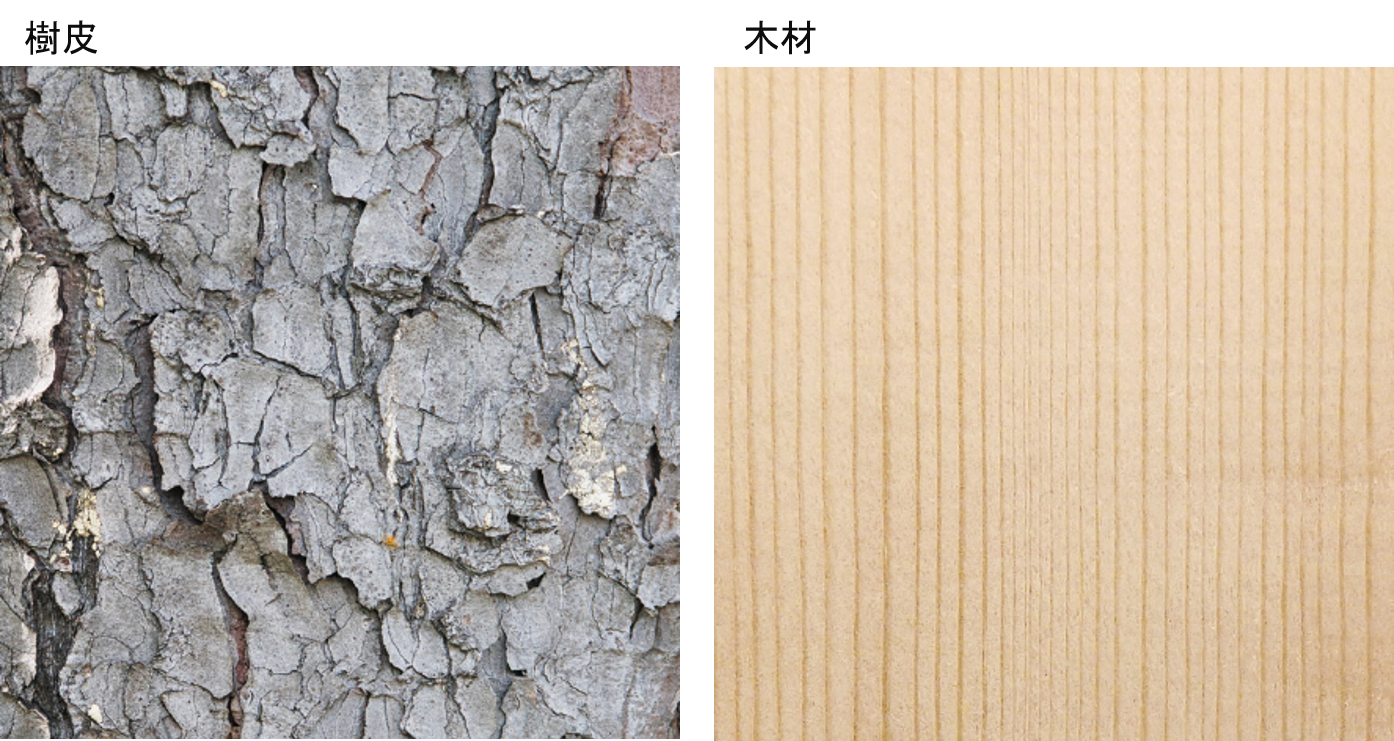 これって、なんの木? 水産林務部森林海洋環境局森林海洋環境課