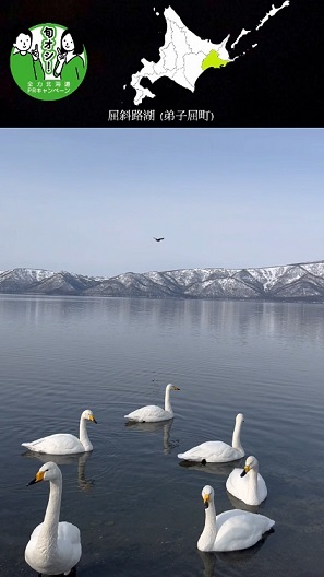 旬オシ！全力北海道PRキャンペーン（釧路地域編）サムネイル