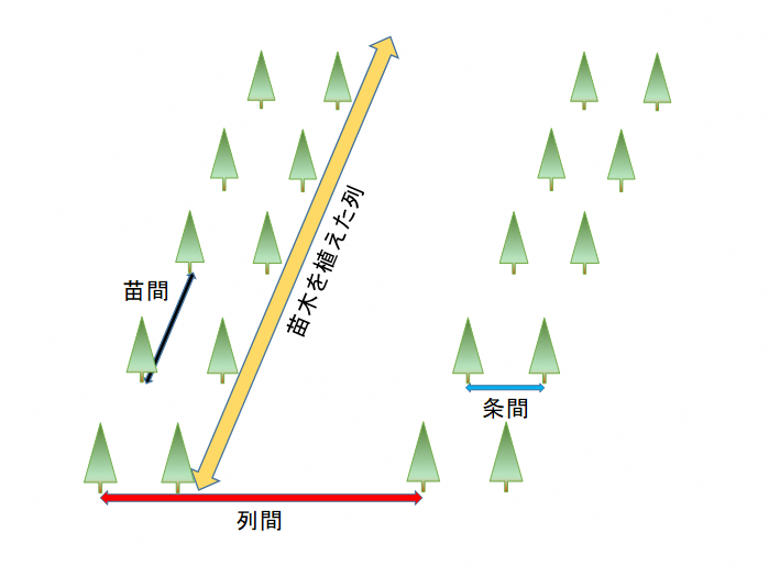 2条植栽の苗間、列間の計測図