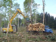 伐木造材功程調査.png