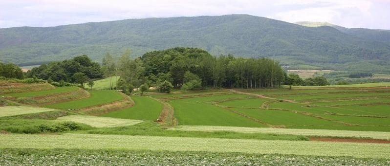 急傾斜農用地