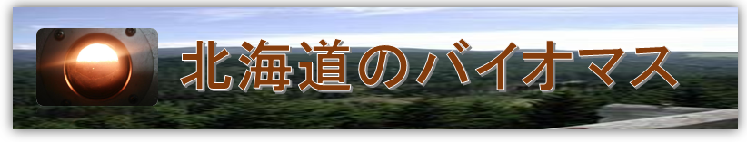 北海道のバイオマス