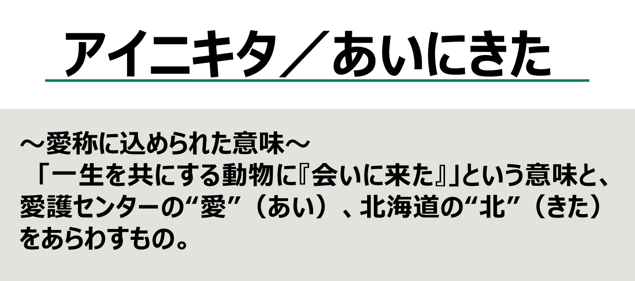 愛称”アイニキタ／あいにきた”