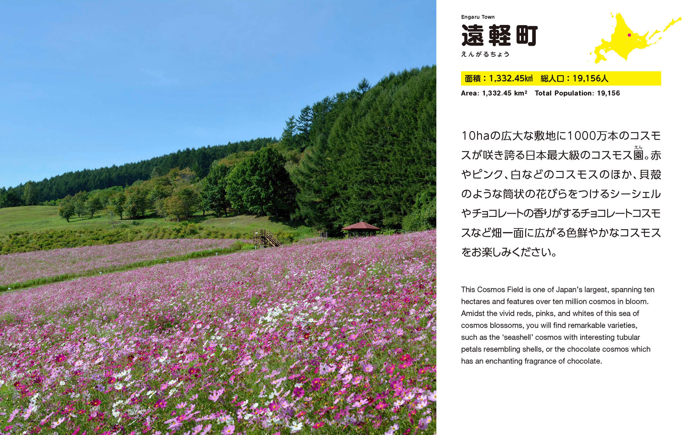 遠軽町
