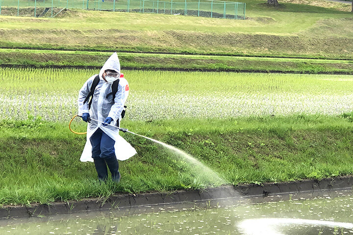 GAPのルールに則った除草剤散布